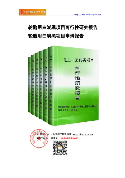 轮胎用白炭黑项目可行性研究报告-备案立项