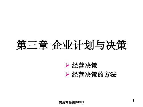 第三章企业计划与决策2012春