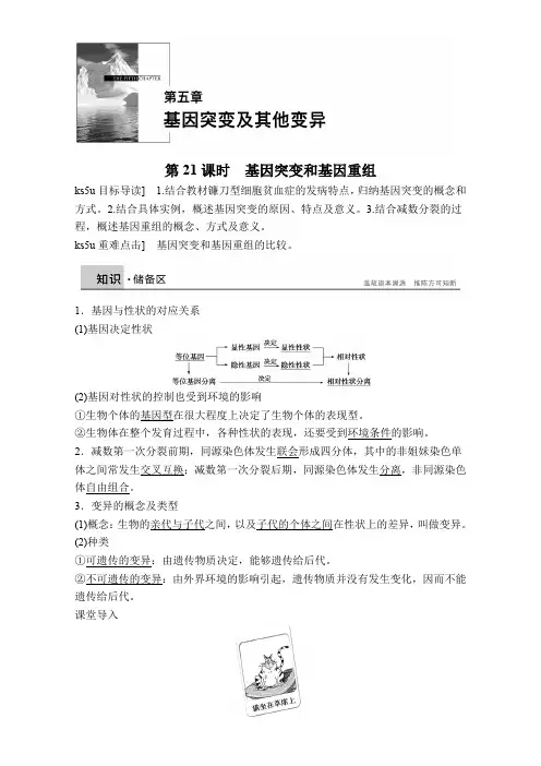 人教版高中生物必修二基因突变和基因重组练习题测试题复习题