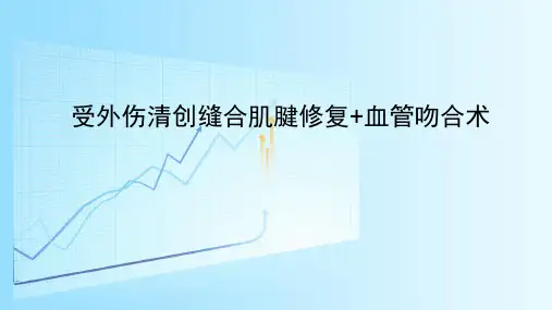 手外伤清创缝合肌腱修复+血管吻合术