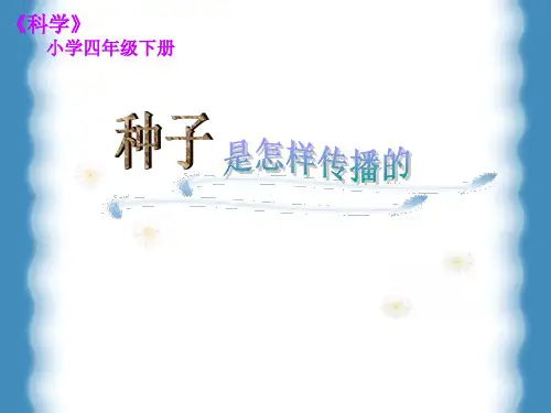 种子是怎样传播的