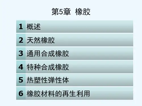 第5章橡胶