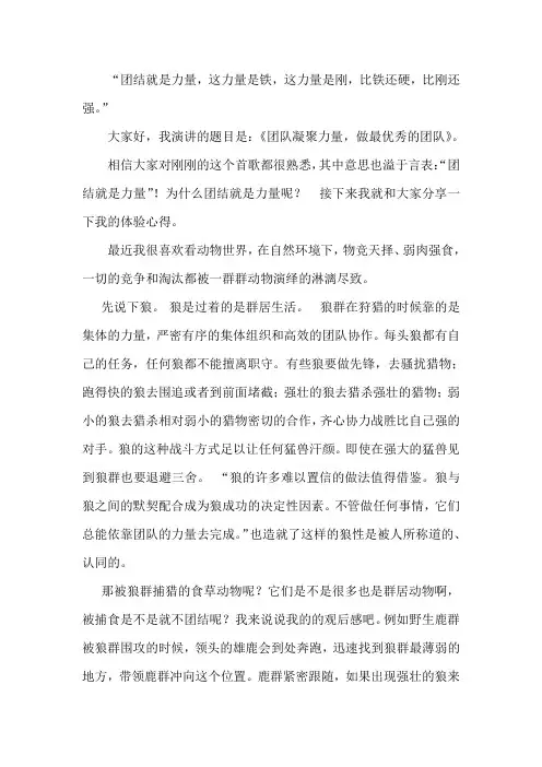 团队凝聚力量,做最优秀的团队