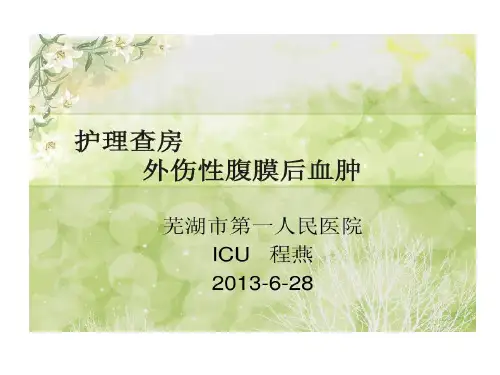 外伤性腹膜后血肿护理查房共46页文档