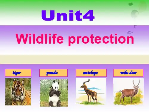 人教版高一英语必修二 Unit 4 Wildlife protection reading 课件(共16张PPT)