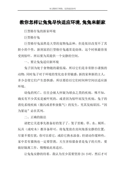 教你怎样让兔兔尽快适应环境,兔兔来新家