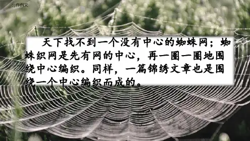 部编版六年级语文上册第五单元《习作:围绕中心意思写》课件(共24张PPT)