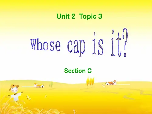 WhosecapisitSectionC