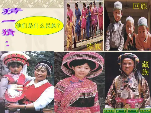 《云南的歌会》正式11定稿[1]精品PPT课件