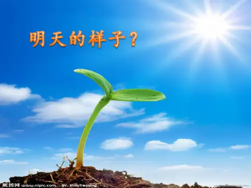 湘艺版初中音乐 明天会更好 课件