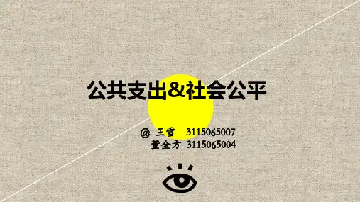 公共经济学论文