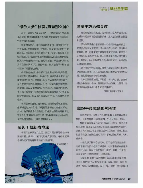 紫菜干巧治偏头疼