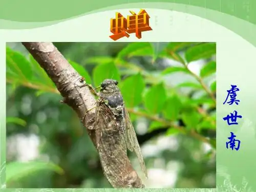 诵读欣赏:古诗三首