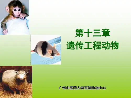 第十三章 遗传工程动物