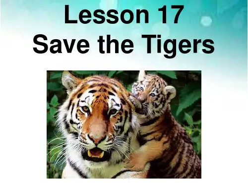 冀教版英语八年级下册  Unit 3  Lesson 17《Save the Tigers》课件(共38张)