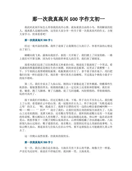 那一次我真高兴500字作文初一