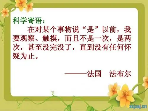 教科版小学科学六年级上册第三单元《电磁铁》课件