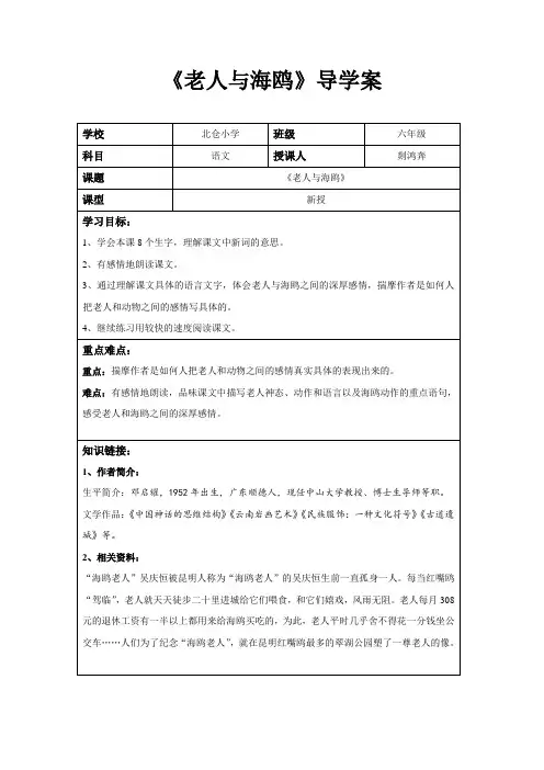 《老人与海鸥》导学案