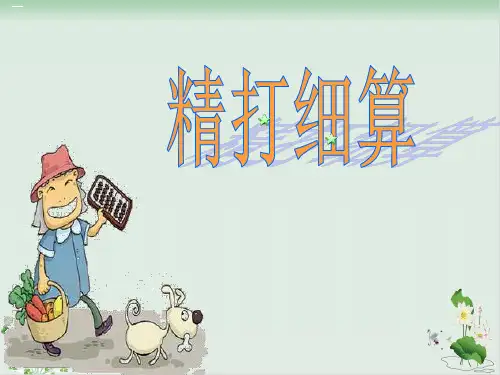 北师大版《精打细算》PPT精品课件