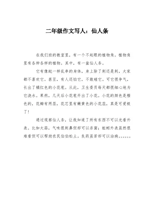 二年级作文写人：仙人条