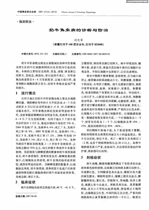 奶牛焦虫病的诊断与防治