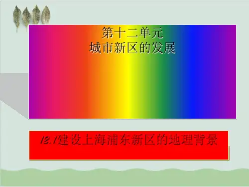 建设上海浦东新区的地理背景ppt 人教版.ppt