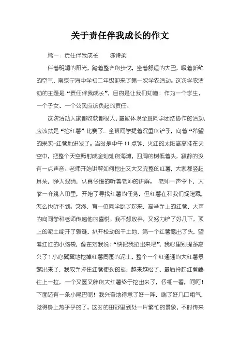 关于责任伴我成长的作文