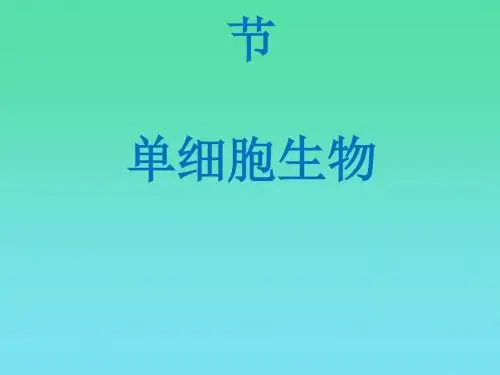 单细胞生物PPT课件8
