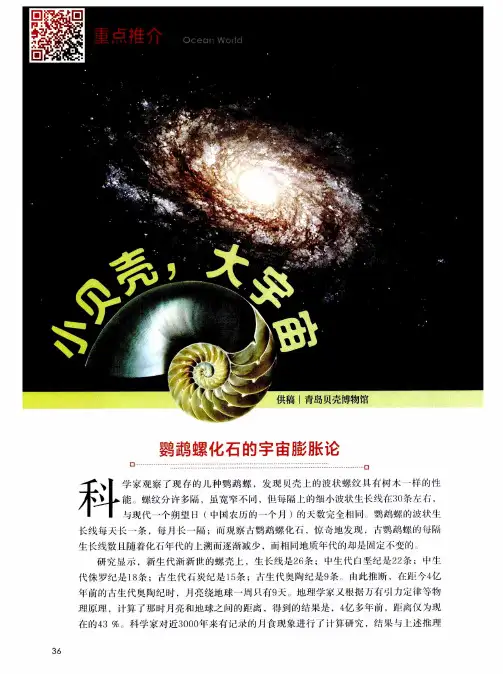 小贝壳,大宇宙