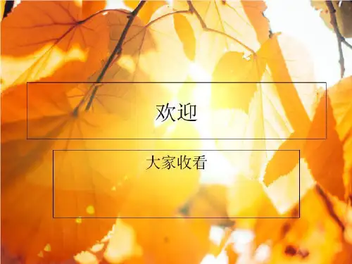 高鸿业西方经济学第四版课件第二十章