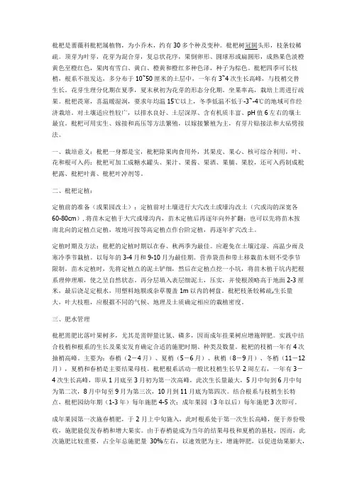 枇杷栽培技术汇总