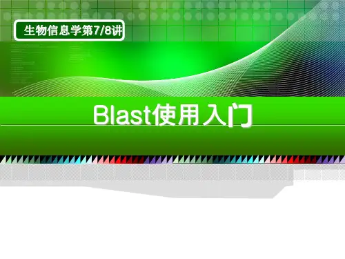 Blast使用入门