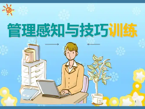 管理感知与技巧训练