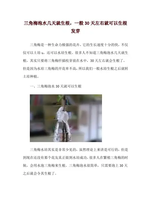 三角梅泡水几天就生根,一般30天左右就可以生根发芽
