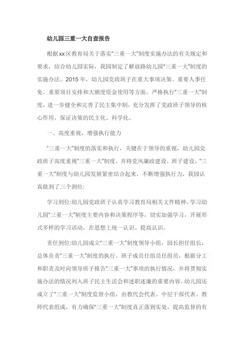 幼儿园三重一大自查报告