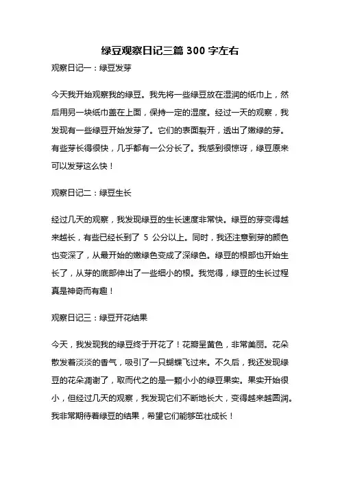 绿豆观察日记三篇 300字左右