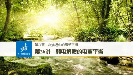 弱电解质的电离平衡高三复习