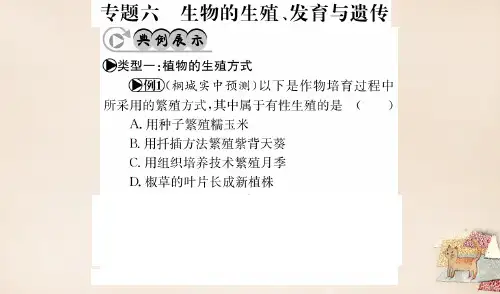 2020年中考生物 专题综合突破 专题六 生物的生殖、发育与遗传课件