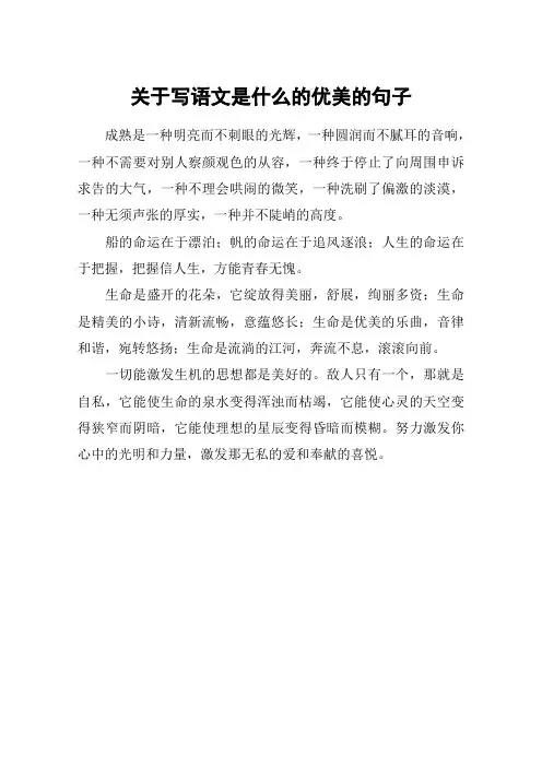关于写语文是什么的优美的句子_1