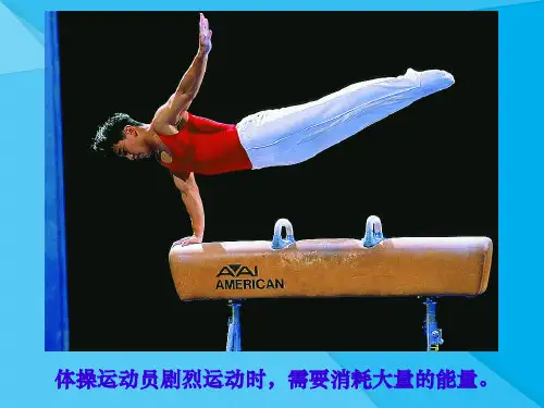 人体能量的供给ppt1 苏教版优秀课件