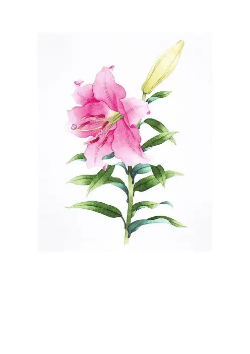 涂色画打印