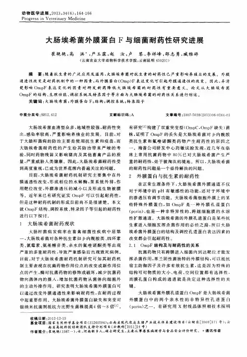 大肠埃希菌外膜蛋白F与细菌耐药性研究进展