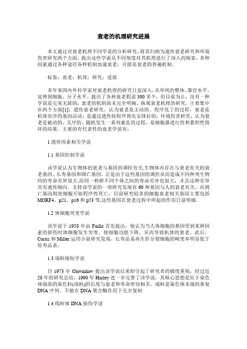 衰老的机理研究进展