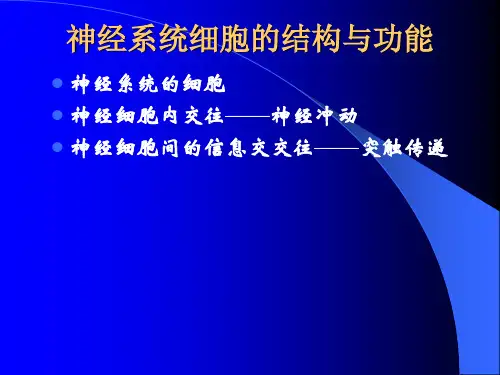 神经系统细胞的结构与功能