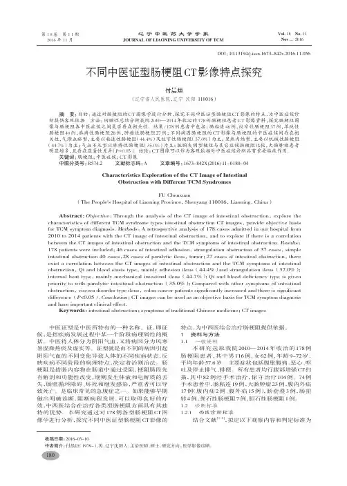 不同中医证型肠梗阻CT影像特点探究-付晨烜