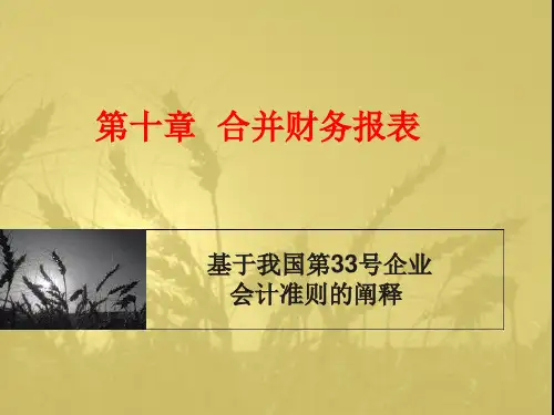 第十章 合并财务报表
