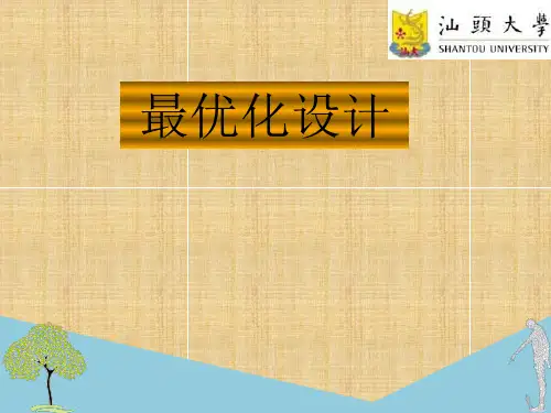 最优化设计