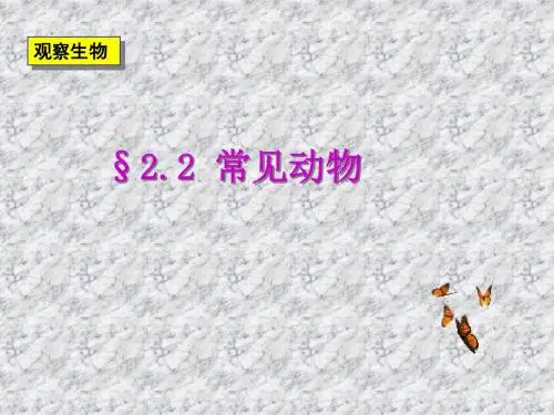 七年级科学常见的动物1