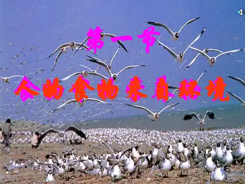 人体需要的主要营养物质PPT课件