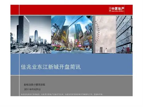 佳兆业东江新城开盘简讯